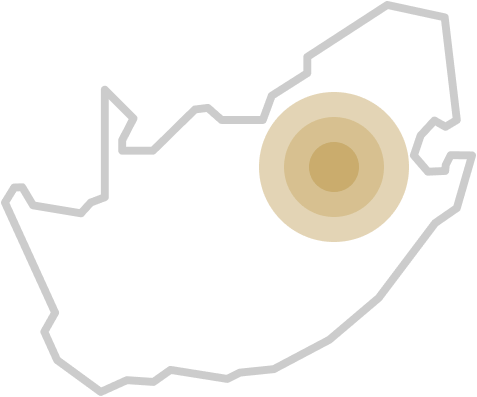 Image dummy banner